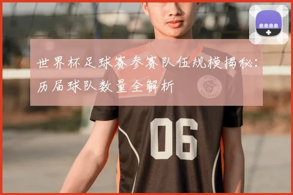 世界杯足球赛参赛队伍规模揭秘:历届球队数量全解析
