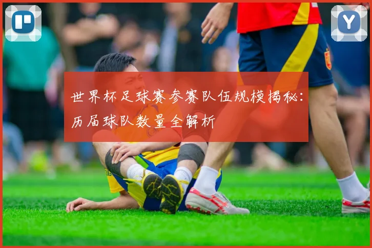 世界杯足球赛参赛队伍规模揭秘:历届球队数量全解析